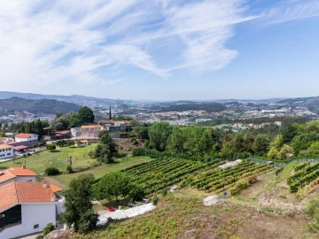 Terreno Agricola ou Rústico para Venda em Caldas de Vizela (São Miguel e São João)