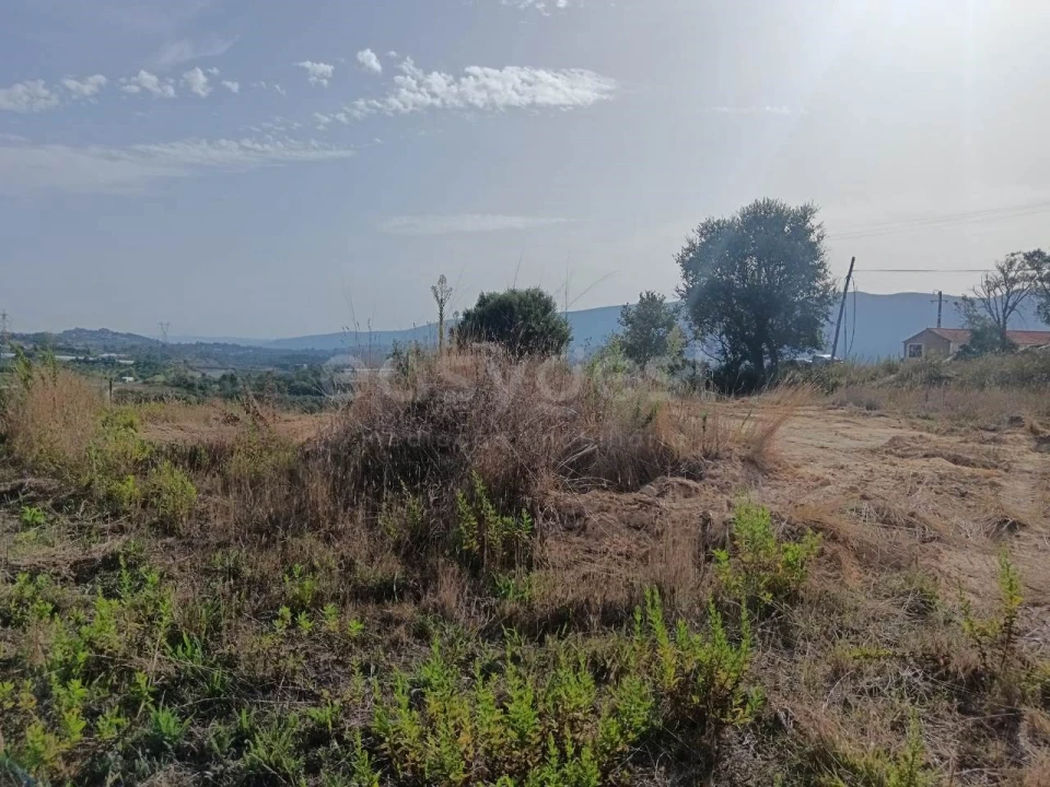 Terreno para Venda em Aljubarrota Foto 2