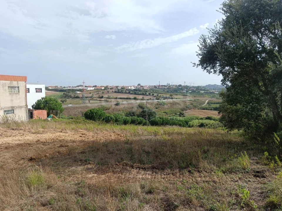 Terreno para Venda em Aljubarrota Foto 3