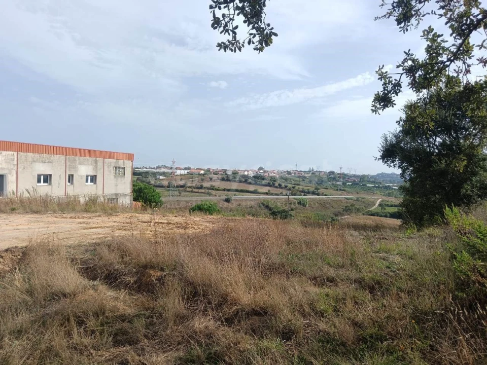 Terreno para Venda em Aljubarrota Foto 4