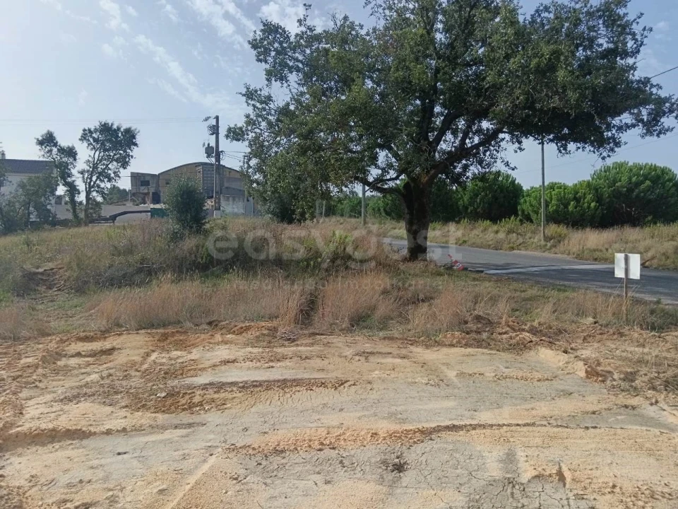 Terreno para Venda em Aljubarrota Foto 5