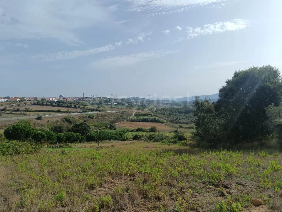 Terreno para Venda em Aljubarrota Foto 6