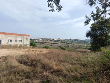 Terreno para Venda em Aljubarrota