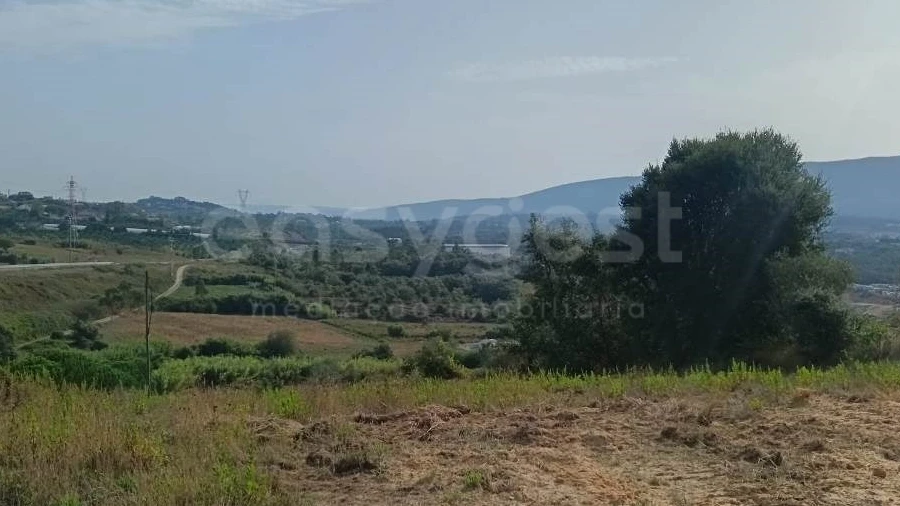 Terreno para Venda em Aljubarrota