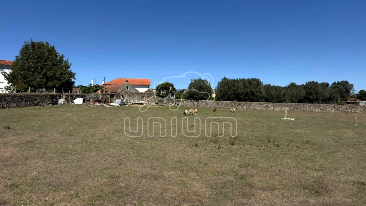 Terreno para Venda em Santa Marta de Portuzelo Foto 3