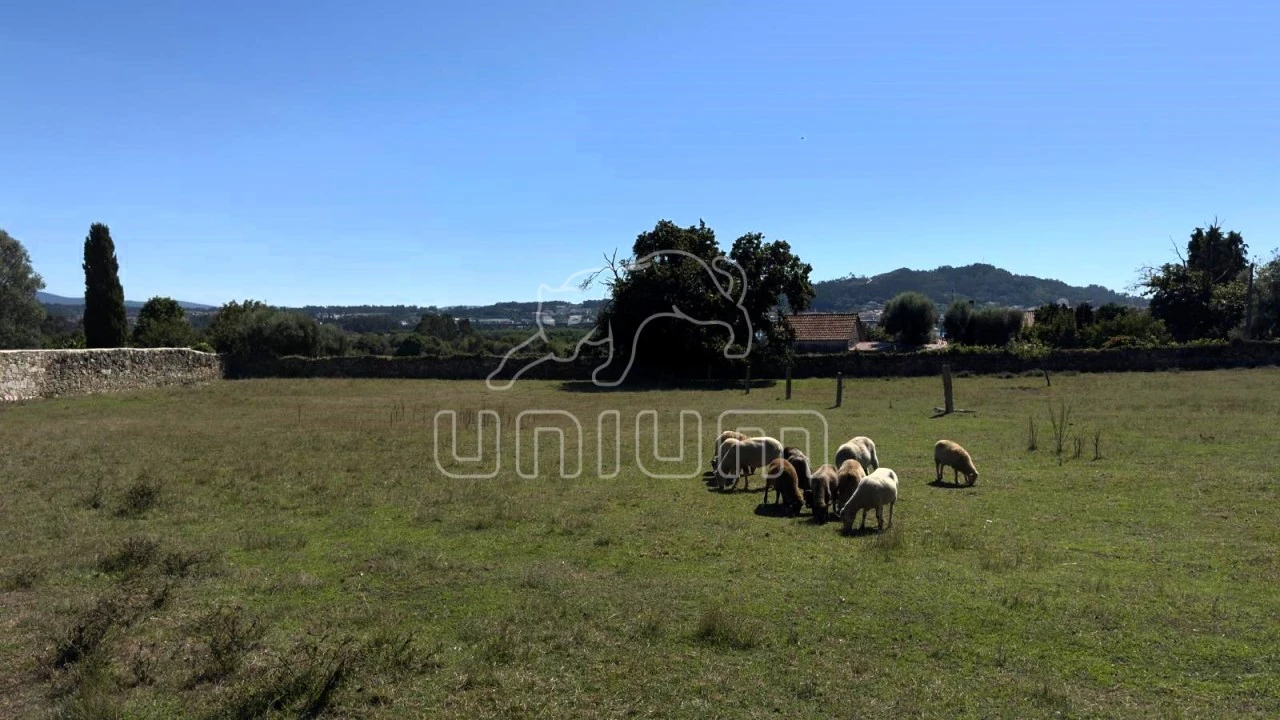 Terreno para Venda em Santa Marta de Portuzelo Foto 4