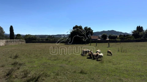 Terreno para Venda em Santa Marta de Portuzelo