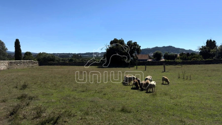 Terreno para Venda em Santa Marta de Portuzelo Foto 4