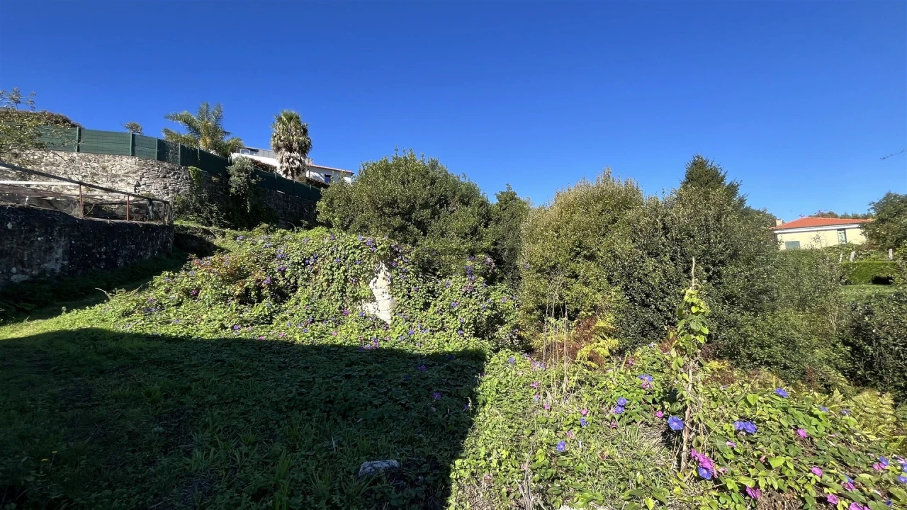 Terreno para Venda em Afife Foto 3
