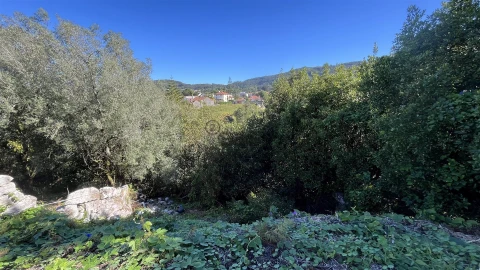 Terreno para Venda em Afife