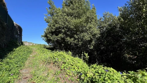 Terreno para Venda em Afife