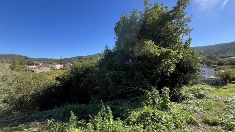 Terreno para Venda em Afife