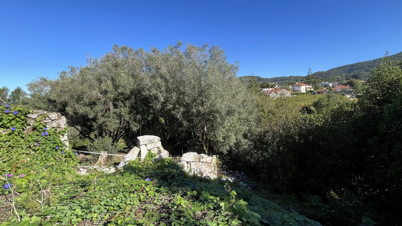 Terreno para Venda em Afife Foto 6