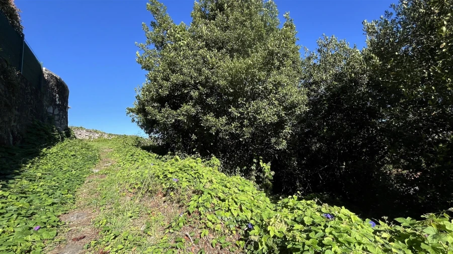 Terreno para Venda em Afife Foto 17