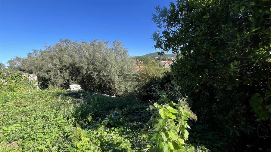 Terreno para Venda em Afife Foto 16