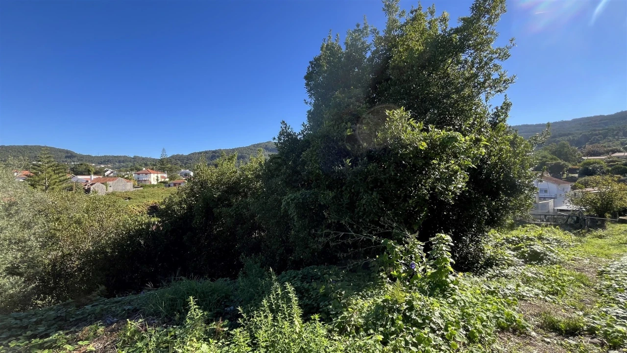 Terreno para Venda em Afife Foto 8