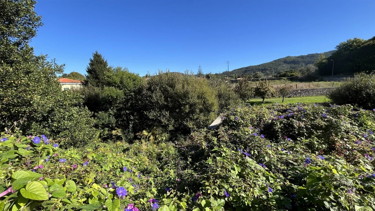Terreno para Venda em Afife Foto 10
