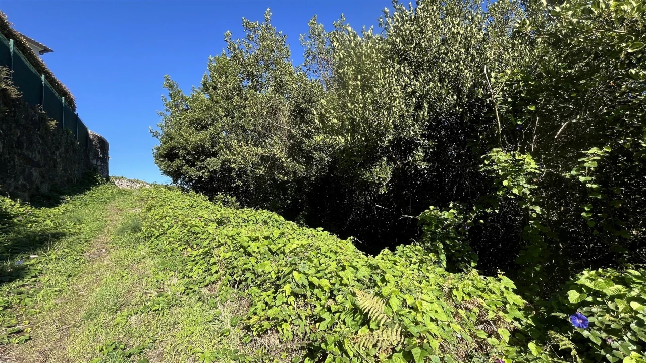 Terreno para Venda em Afife Foto 5