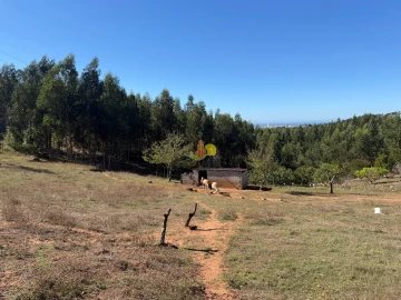 Quinta T1 para Venda em Tavarede