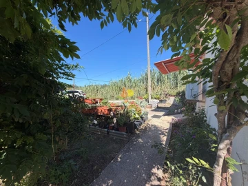 Quinta T1 para Venda em Tavarede