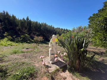 Quinta T1 para Venda em Tavarede
