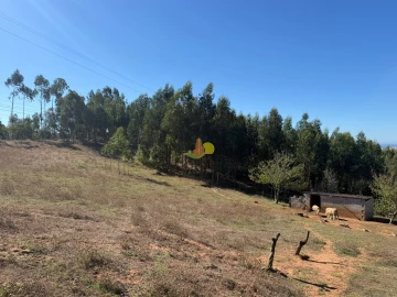 Quinta T1 para Venda em Tavarede