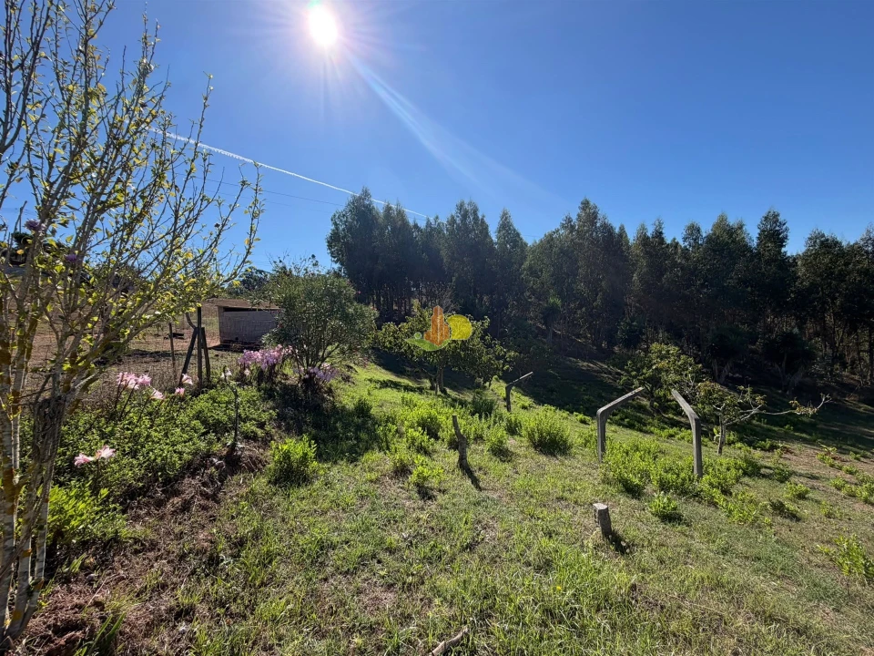 Quinta T1 para Venda em Tavarede Foto 37