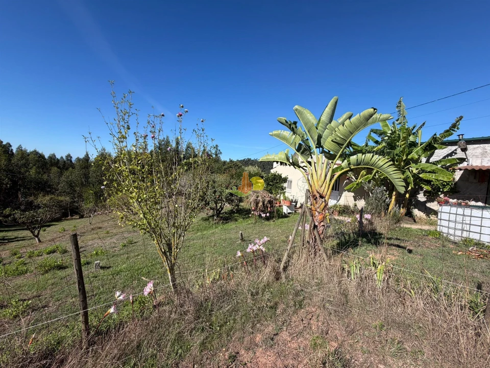 Quinta T1 para Venda em Tavarede Foto 36