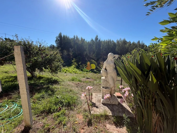 Quinta T1 para Venda em Tavarede Foto 22