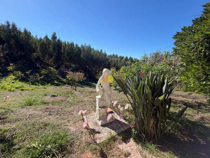 Quinta T1 para Venda em Tavarede Foto 30