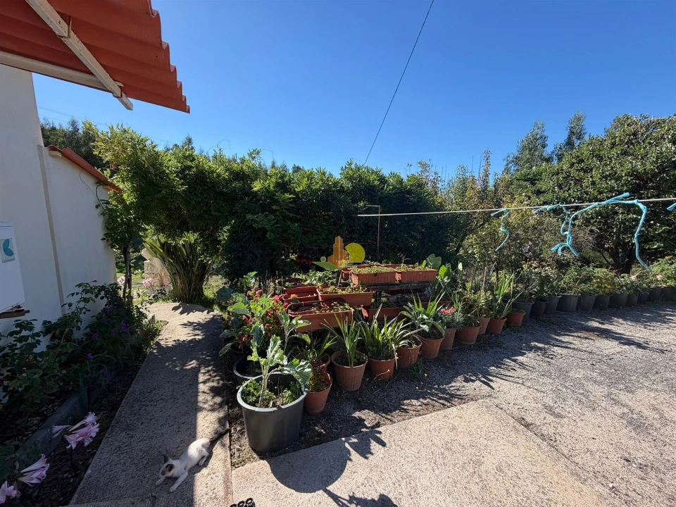 Quinta T1 para Venda em Tavarede Foto 4