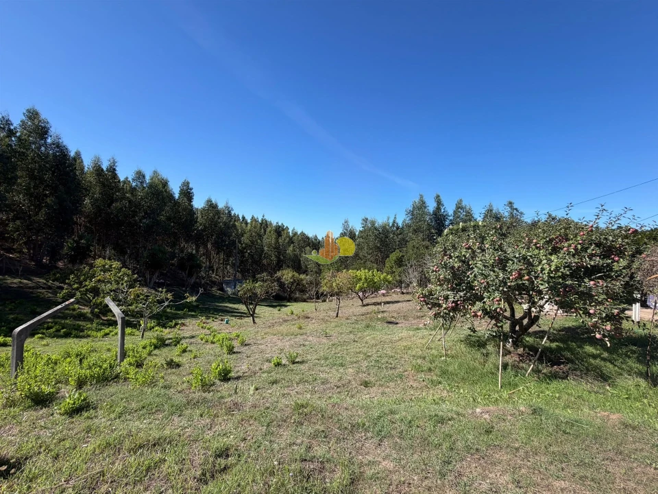 Quinta T1 para Venda em Tavarede Foto 35