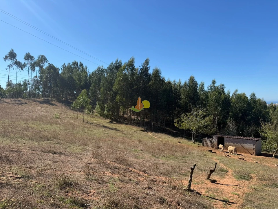Quinta T1 para Venda em Tavarede Foto 33