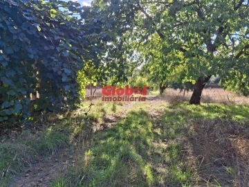 Quinta T0 para Venda em Satão