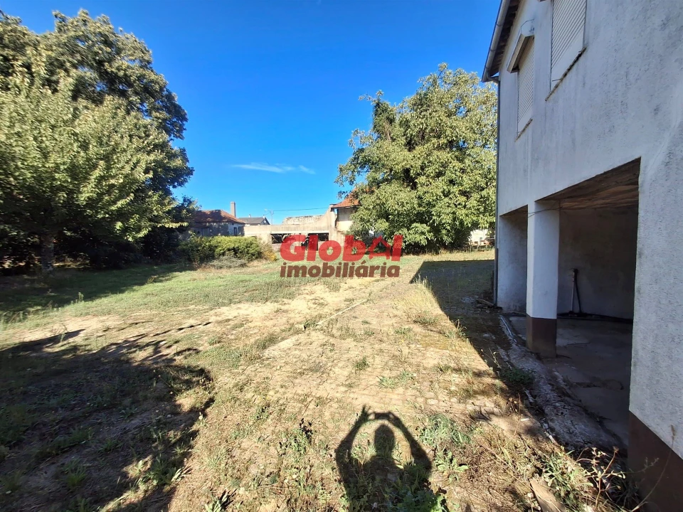 Quinta T0 para Venda em Satão Foto 5