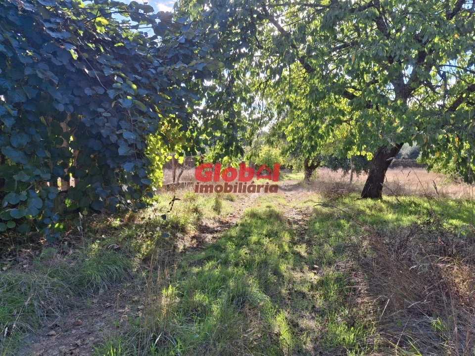 Quinta T0 para Venda em Satão Foto 7