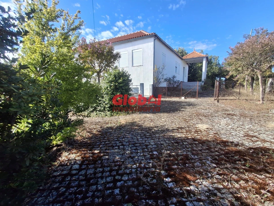 Quinta T0 para Venda em Satão Foto 13