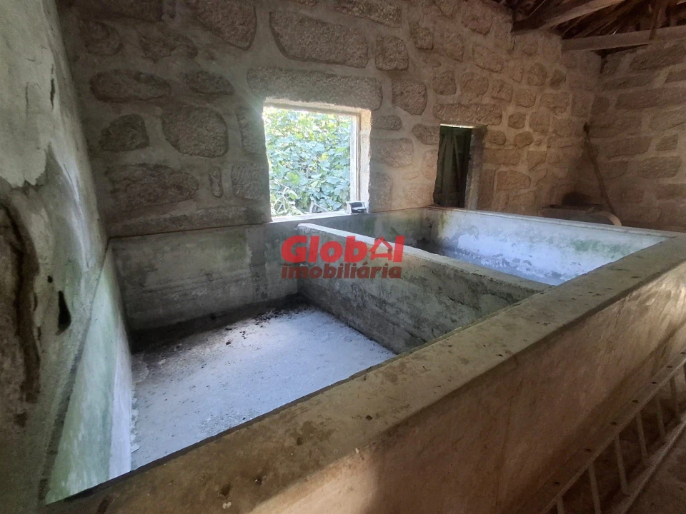 Quinta T0 para Venda em Satão Foto 16