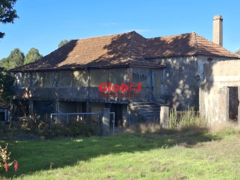 Quinta T0 para Venda em Satão Foto 14