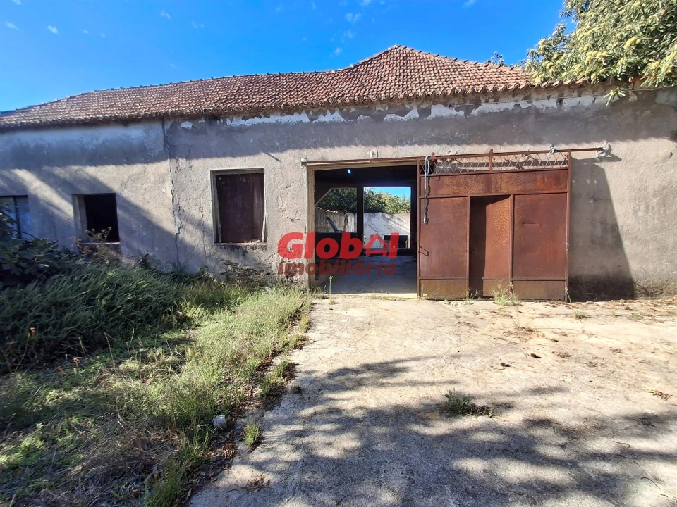 Quinta T0 para Venda em Satão Foto 19
