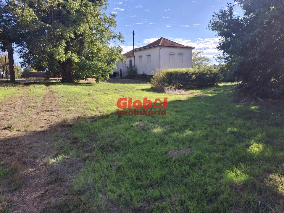 Quinta T0 para Venda em Satão Foto 9