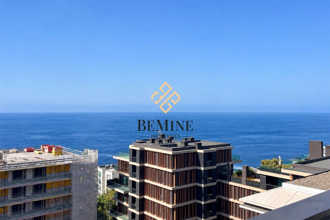 Apartamento T1 para Venda em São Martinho Foto 49