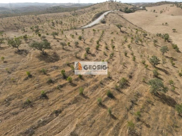 Quinta T1 para Venda em Santa Clara-A-Nova e Gomes Aires