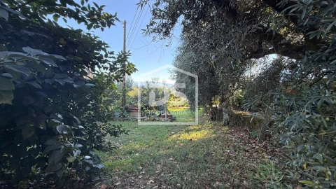 Terreno para Venda em Cavernães