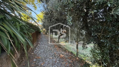 Terreno para Venda em Cavernães