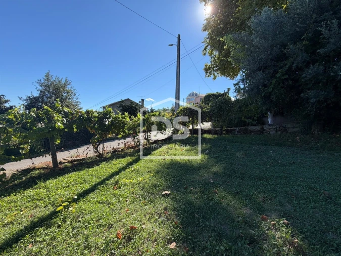 Terreno para Venda em Cavernães Foto 3