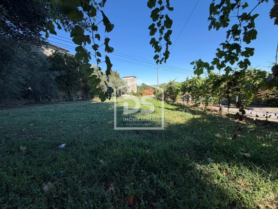 Terreno para Venda em Cavernães Foto 1