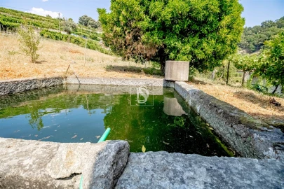 Moradia T3 para Venda em Santa Marinha do Zezere