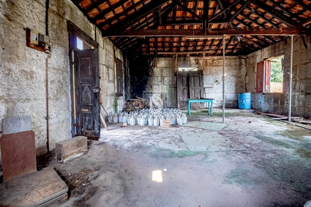 Moradia T3 para Venda em Santa Marinha do Zezere Foto 17