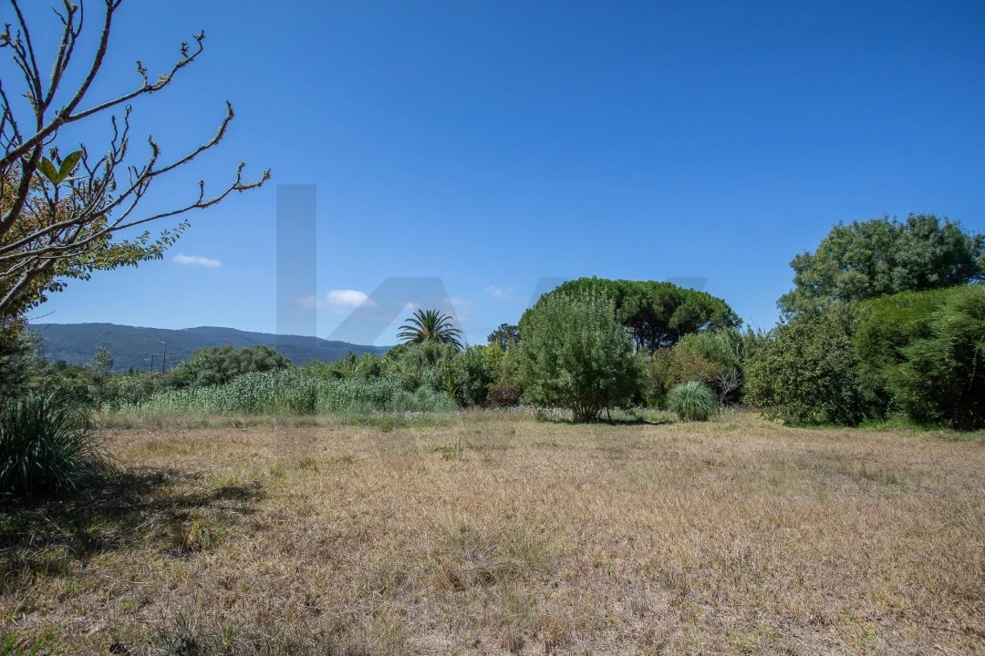 Moradia T4 para Venda em Santa Maria e São Miguel, São Martinho, São Pedro Penaferrim Foto 49